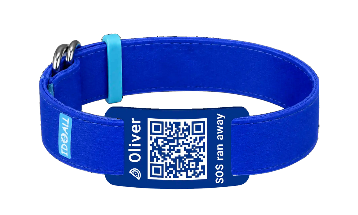 Blauw QR-code