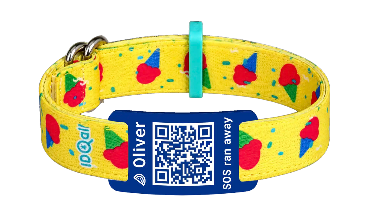 IJsjes QR-code
