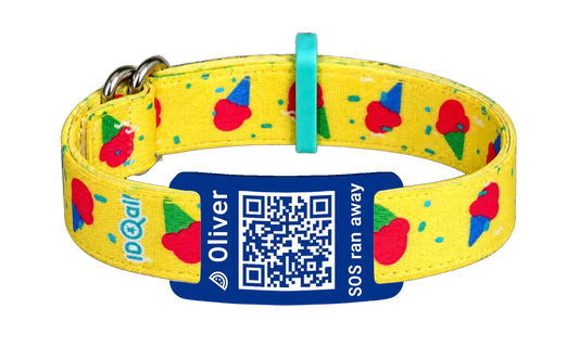 IJsjes QR-code