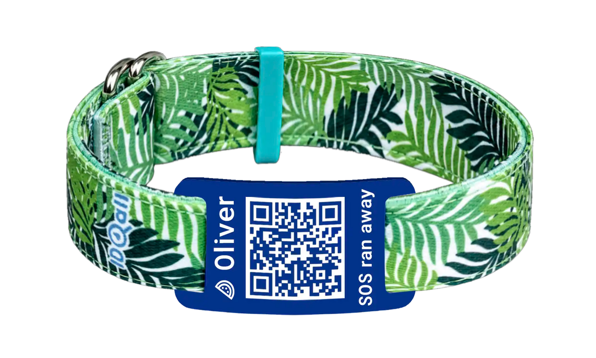 Jungle QR-code
