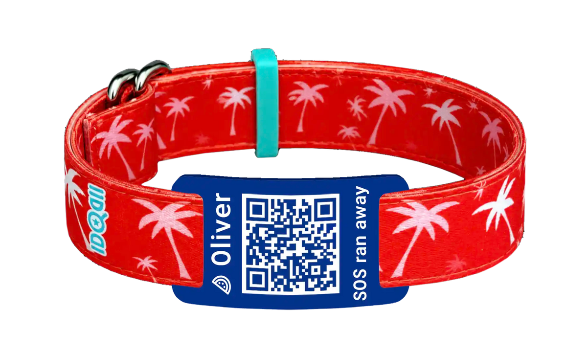 Palmboom QR-code