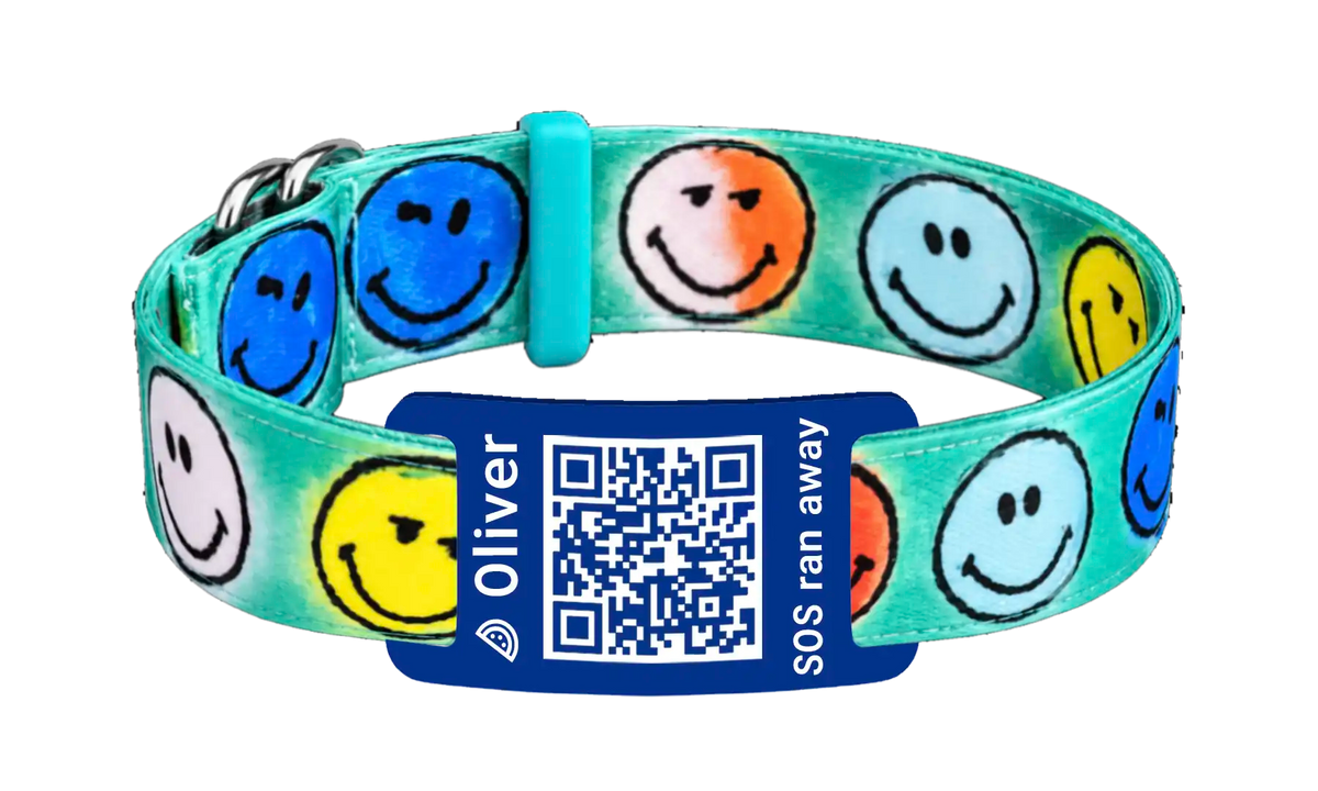 Smiley QR-code